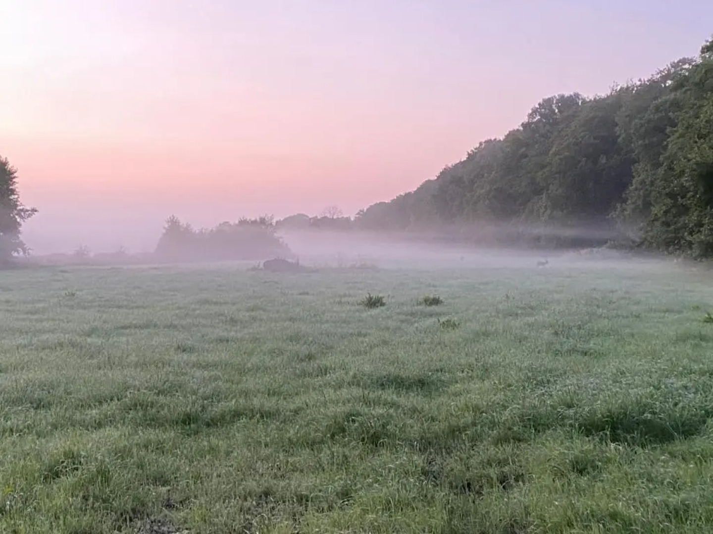 B&B Hof ter Lemferdinge