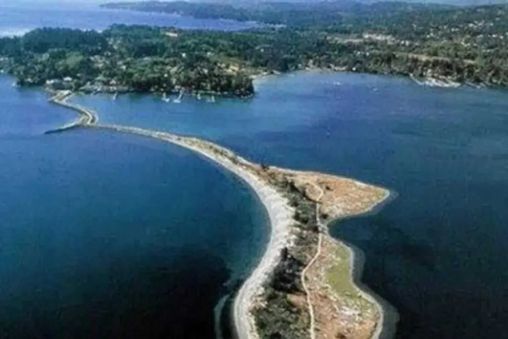 Seagull Studio Vacation Guest Suite