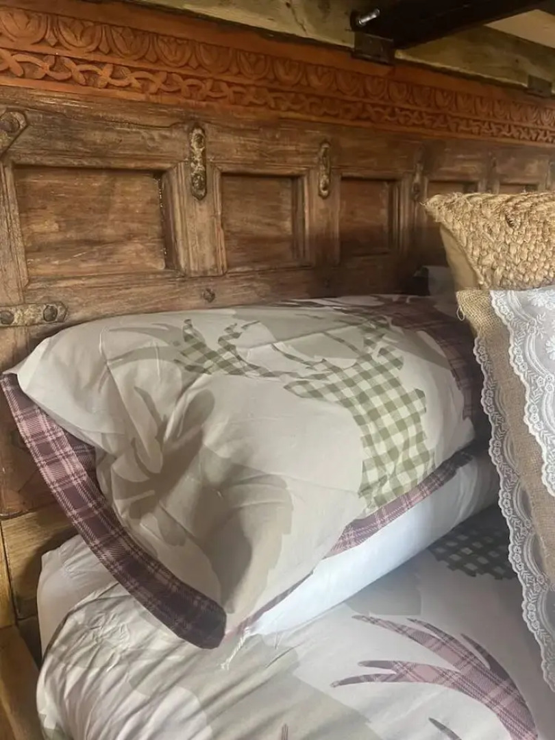 Bridie Rose - hot tub Extra Charge Exotic Animals