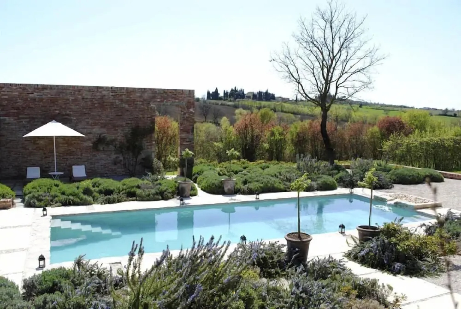 Verdidea - GALLO&GALLETTO