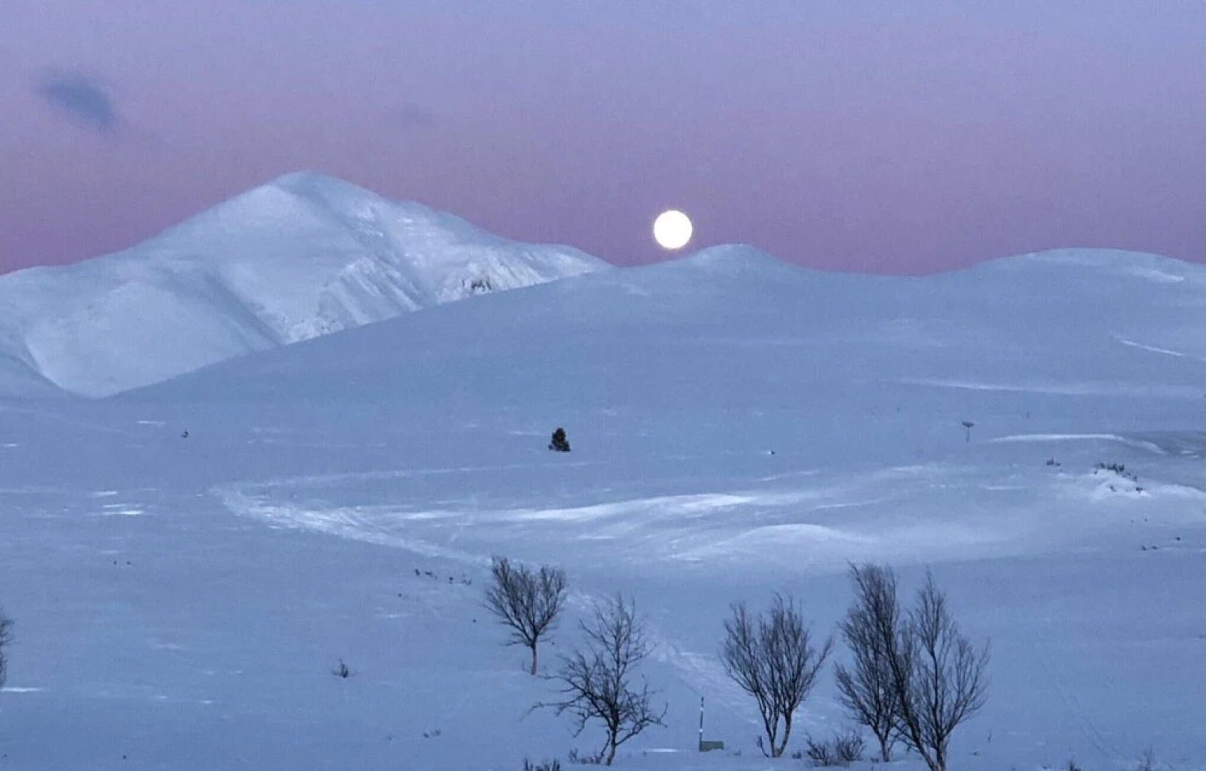 Stunning Home in Mysusæter With Sauna, Wifi and 3 Bedrooms