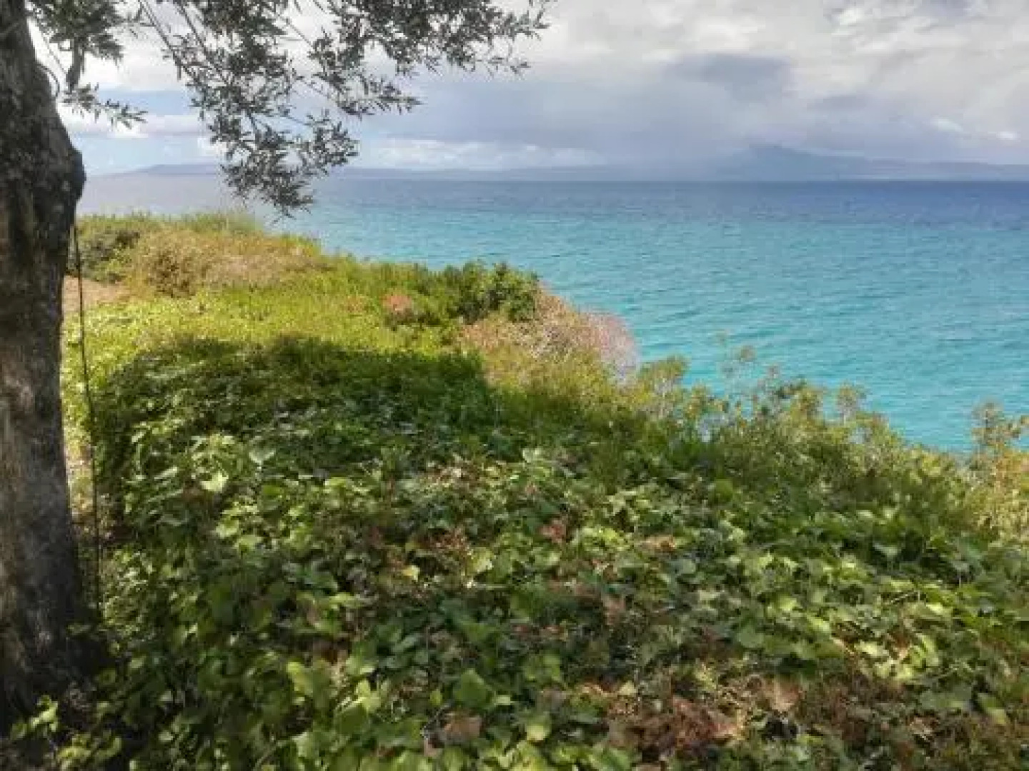 Palaiohora Avias Apartments