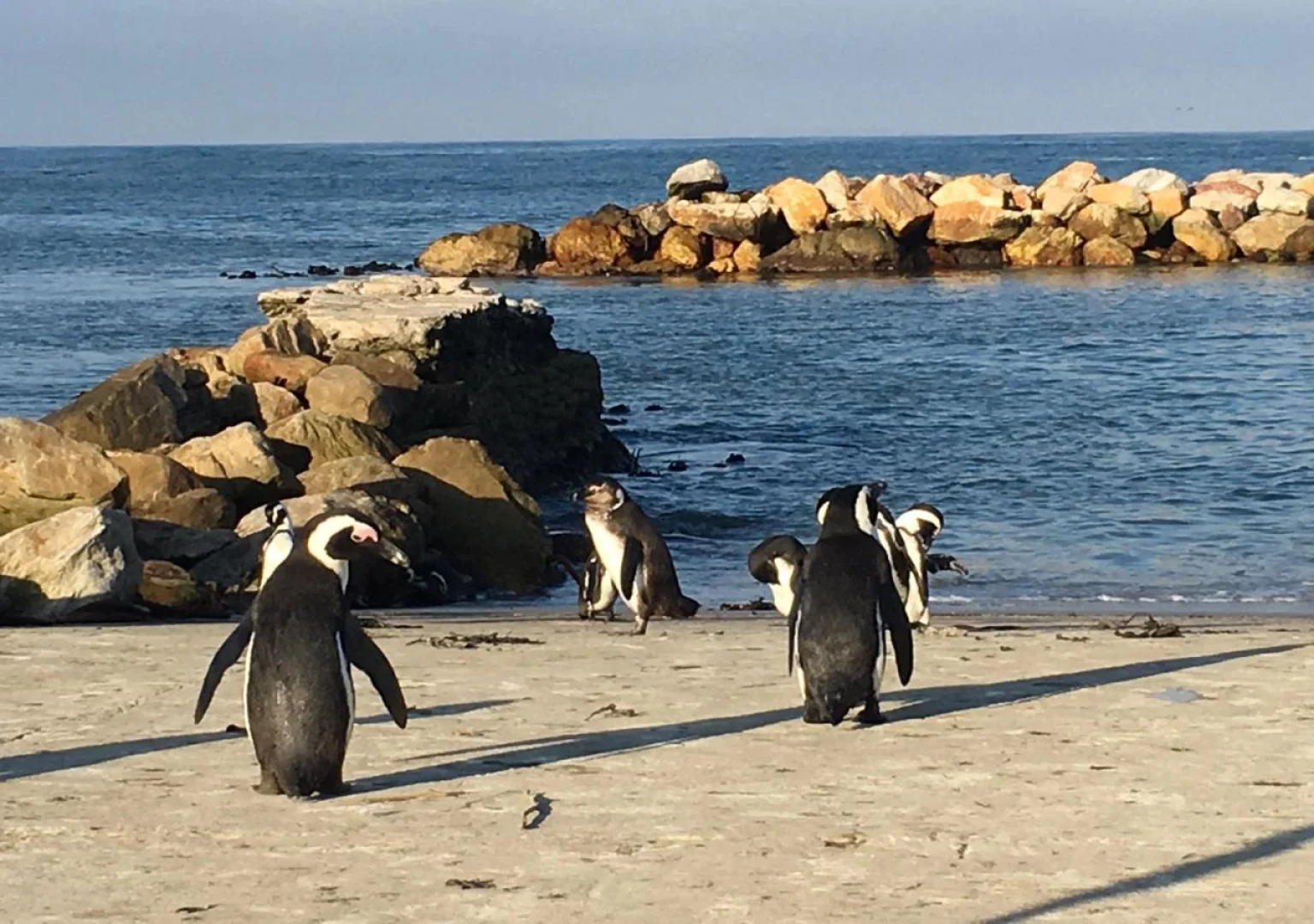 Moonstruck on Pringle Bay Guesthouse