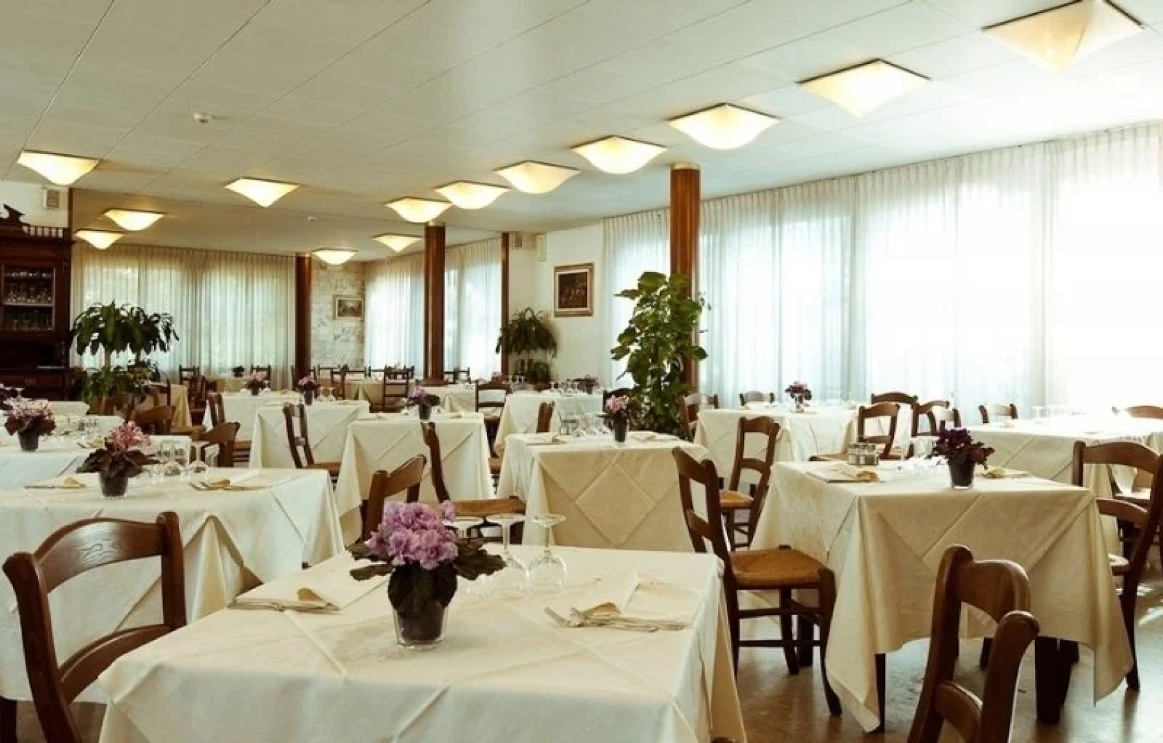 Park Hotel California