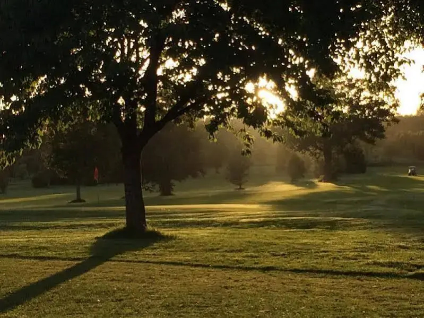 Welbeck Manor and Golf