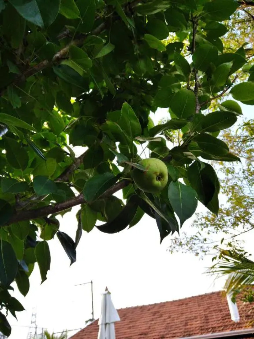 Casa 2 dorm em Botucatu próx unesp