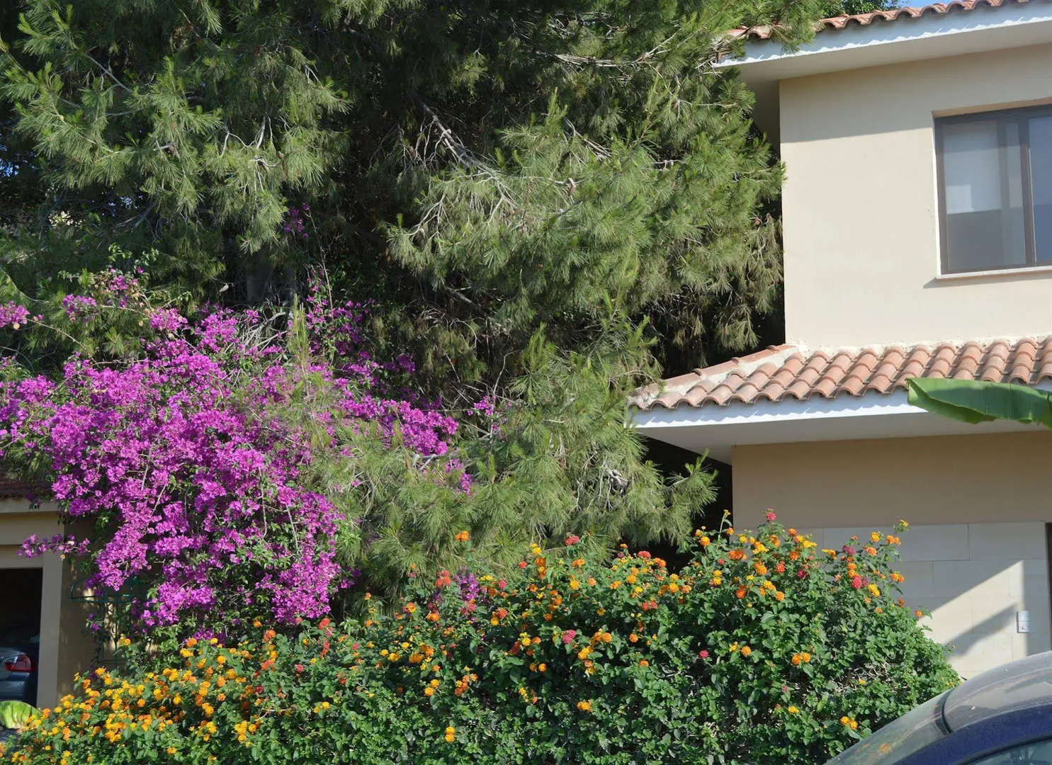Reginas Exclusive Villas