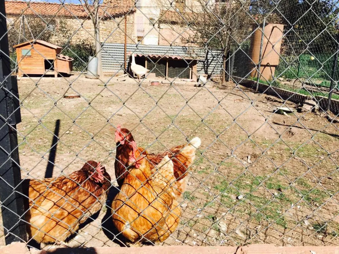 Apartamentos el Prado