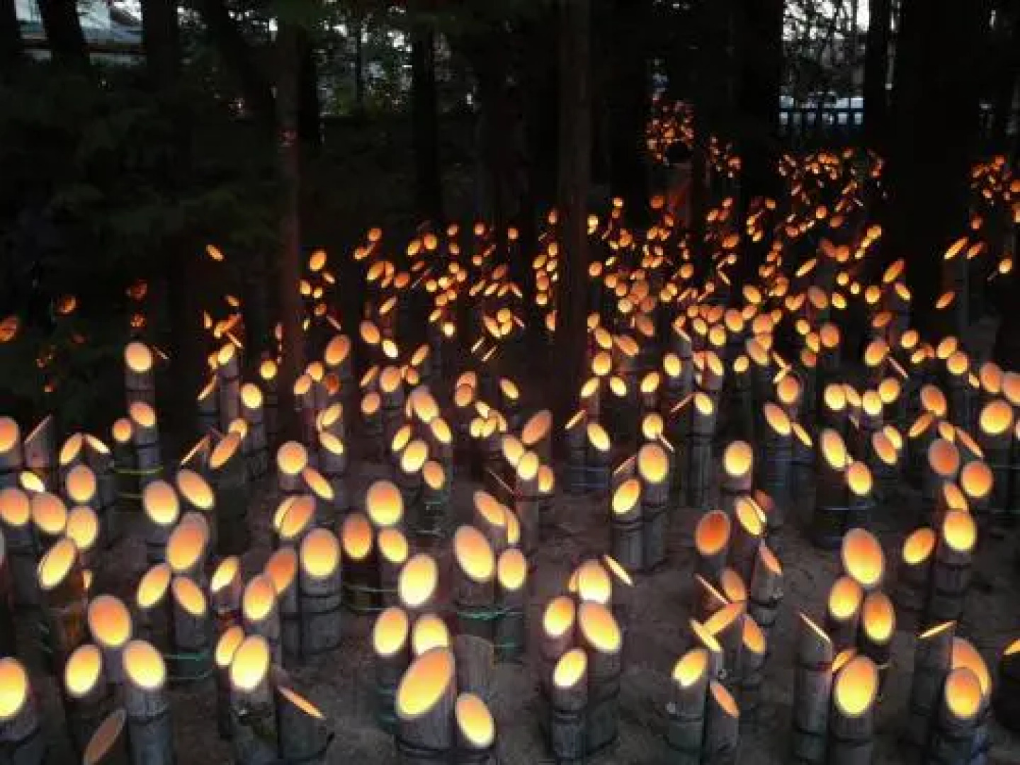 Canadian Loghouse Inn Azumino Yujin