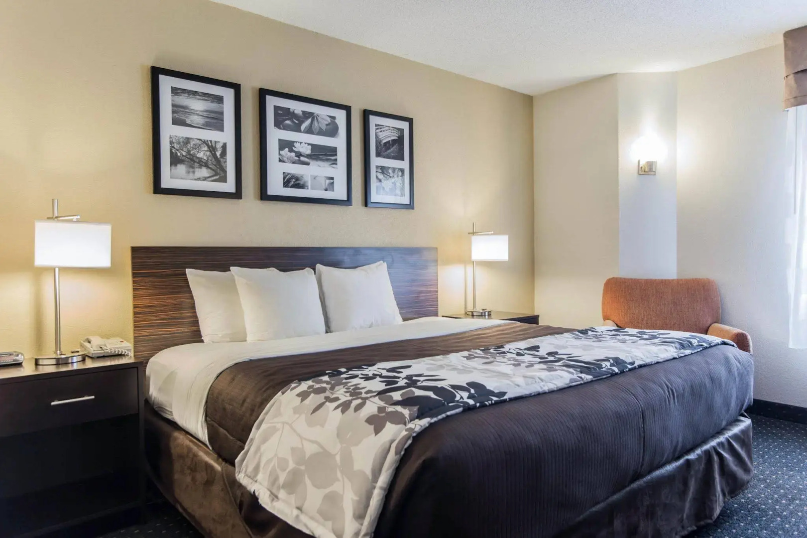 Sleep Inn Florence North