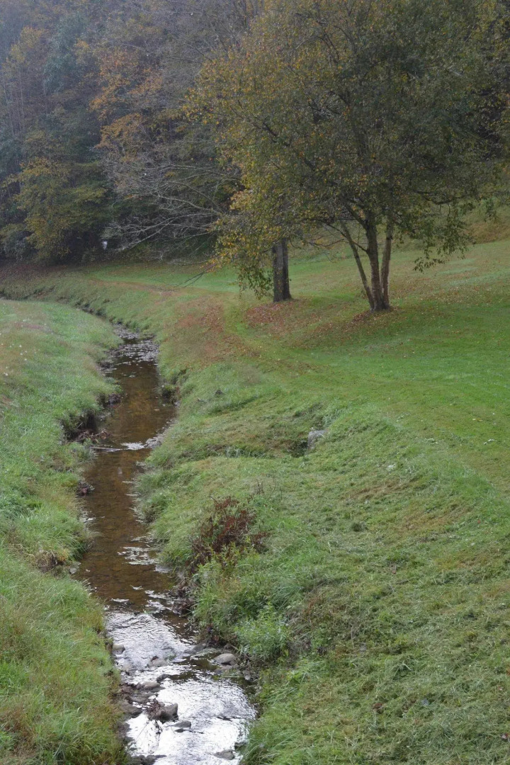 Country Road House and Berries