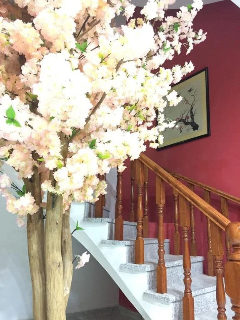 Wuyuan Lanwan Boutique Hotel