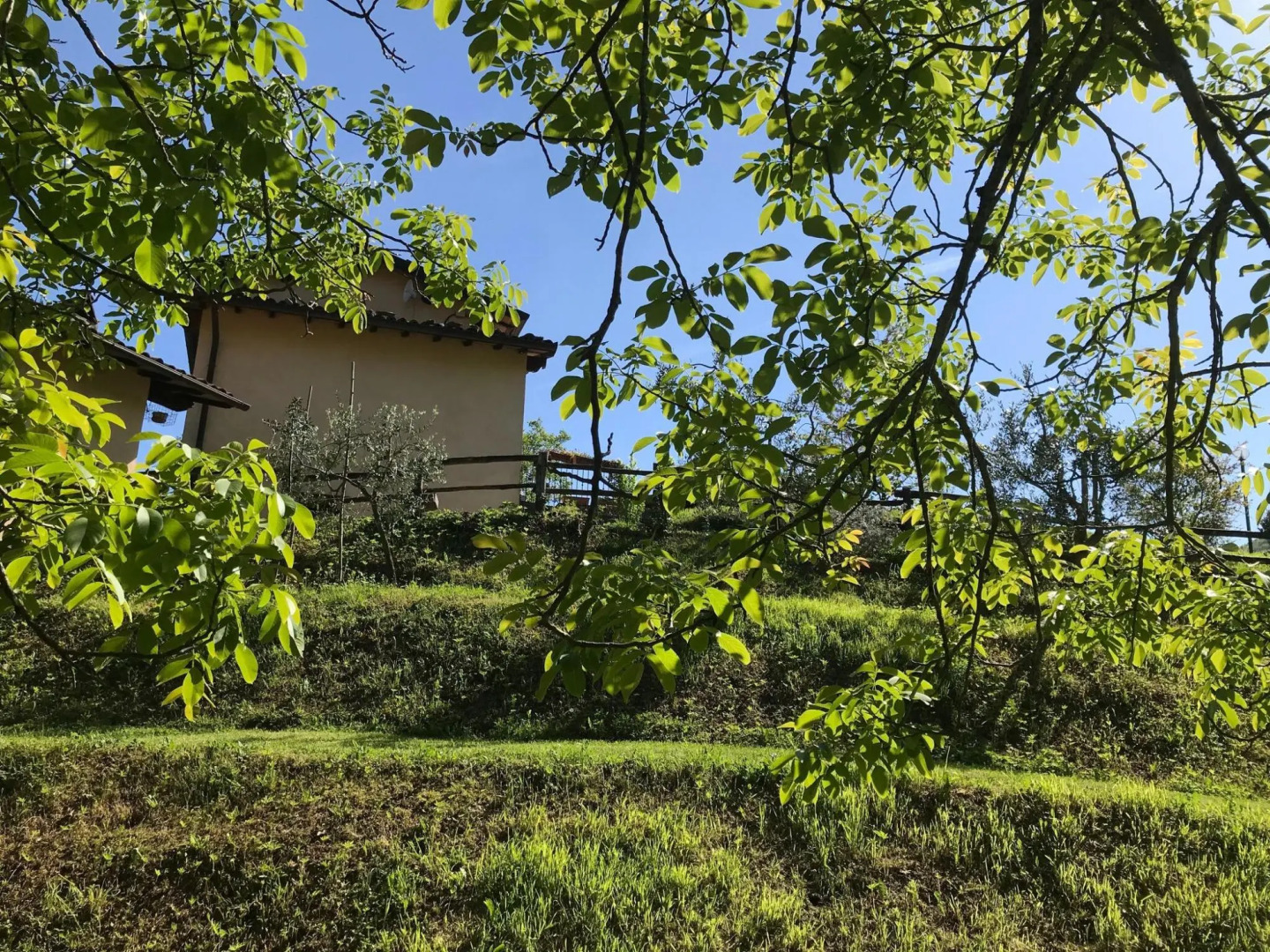 Graceful Cottage in Vergemoli with Private Fenced Garden