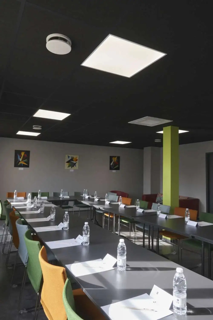 Le Canard Sur Le Toit