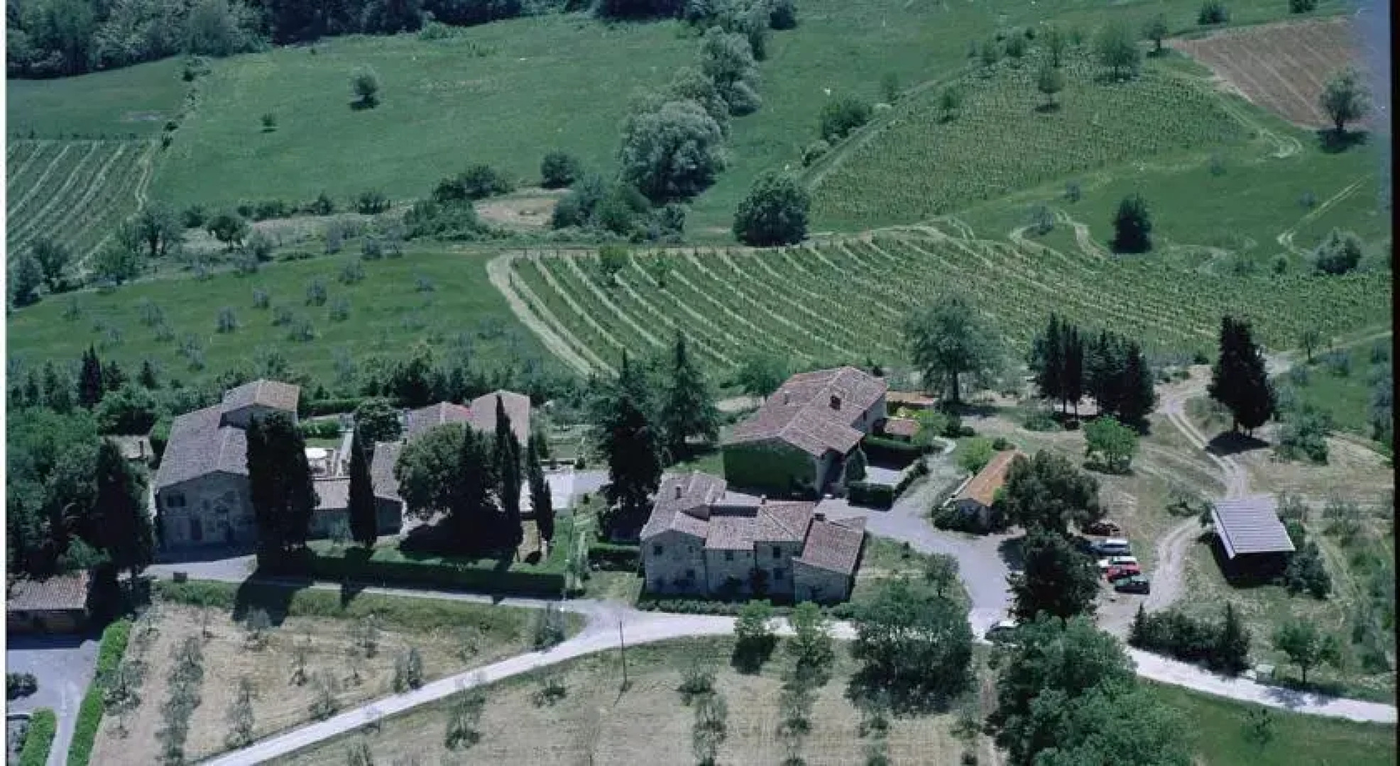 Azienda Agricola Masseto