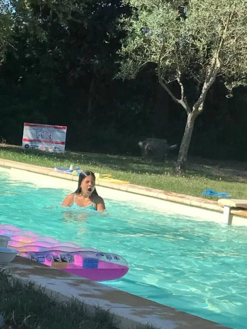 Gite Au Paradis, Parc Animalier (Adults Only)