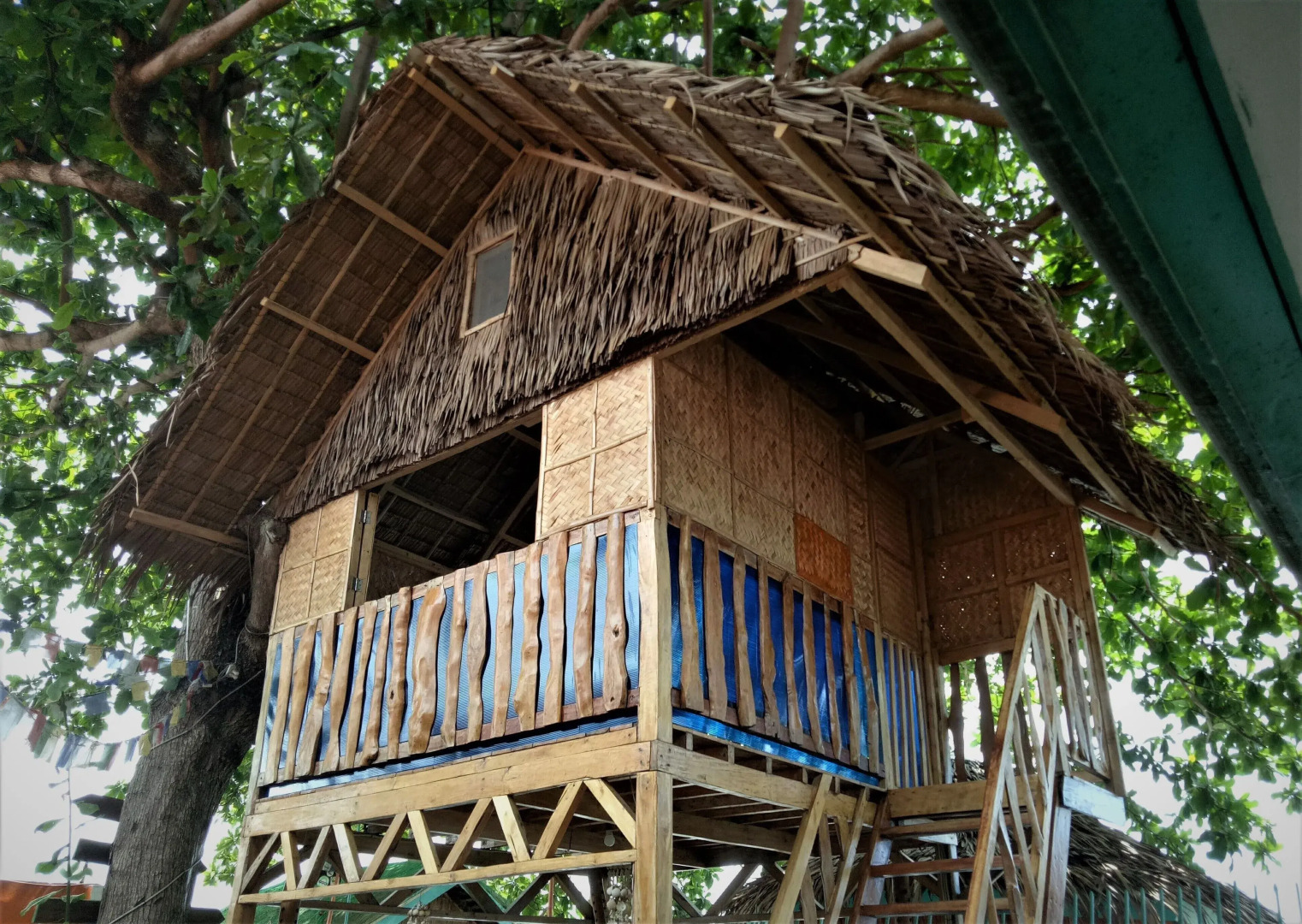 SmallFry's Beach Resort