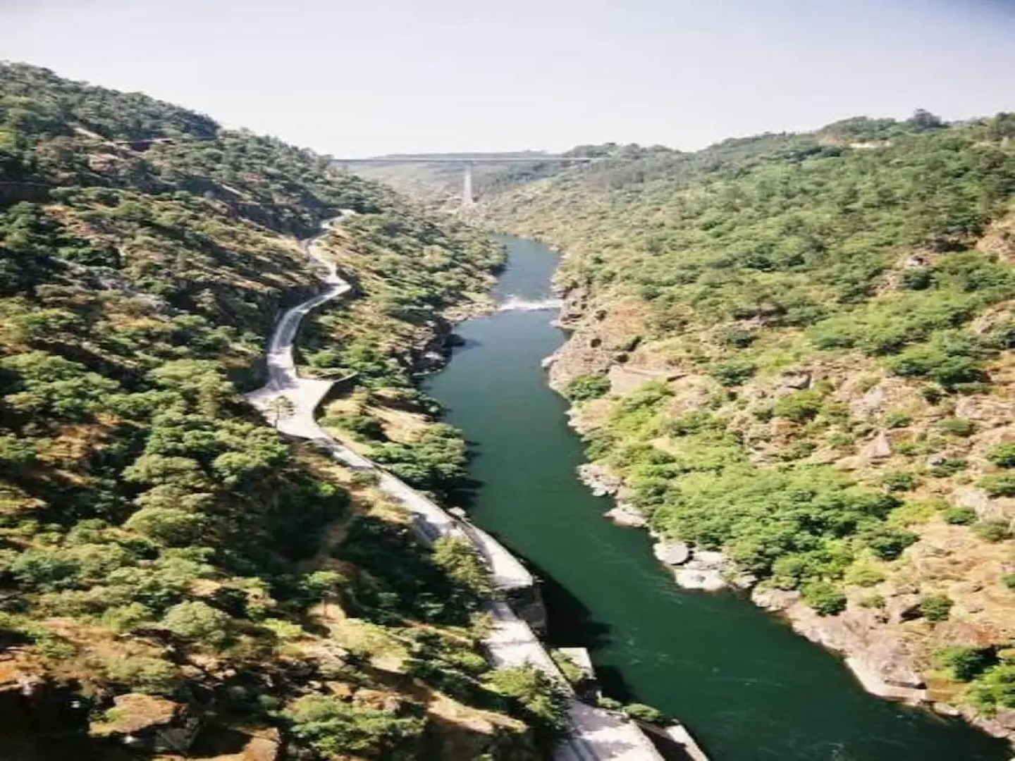 Mansion With 6 Bedrooms in Sertã, With Wonderful Mountain View, Enclosed Garden and Wifi