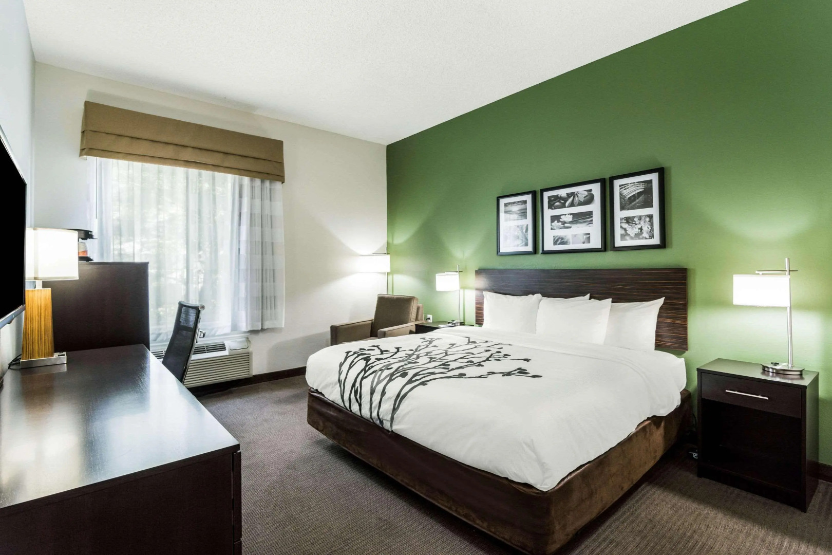 Sleep Inn & Suites Smithfield near I-95