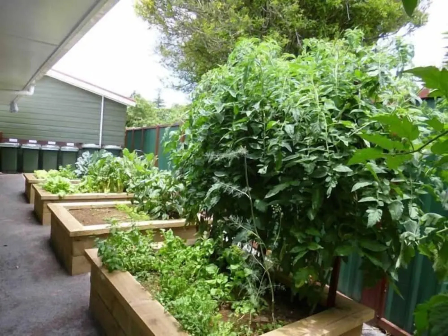 Shiralee Executive Cottages