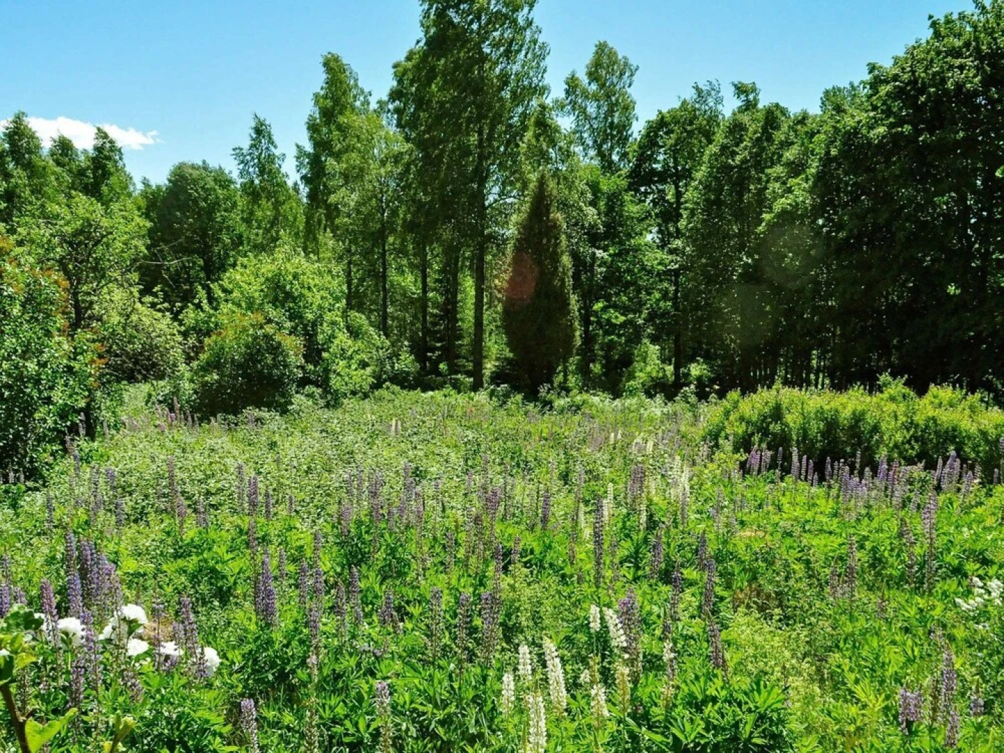 6 Person Holiday Home in Sunne