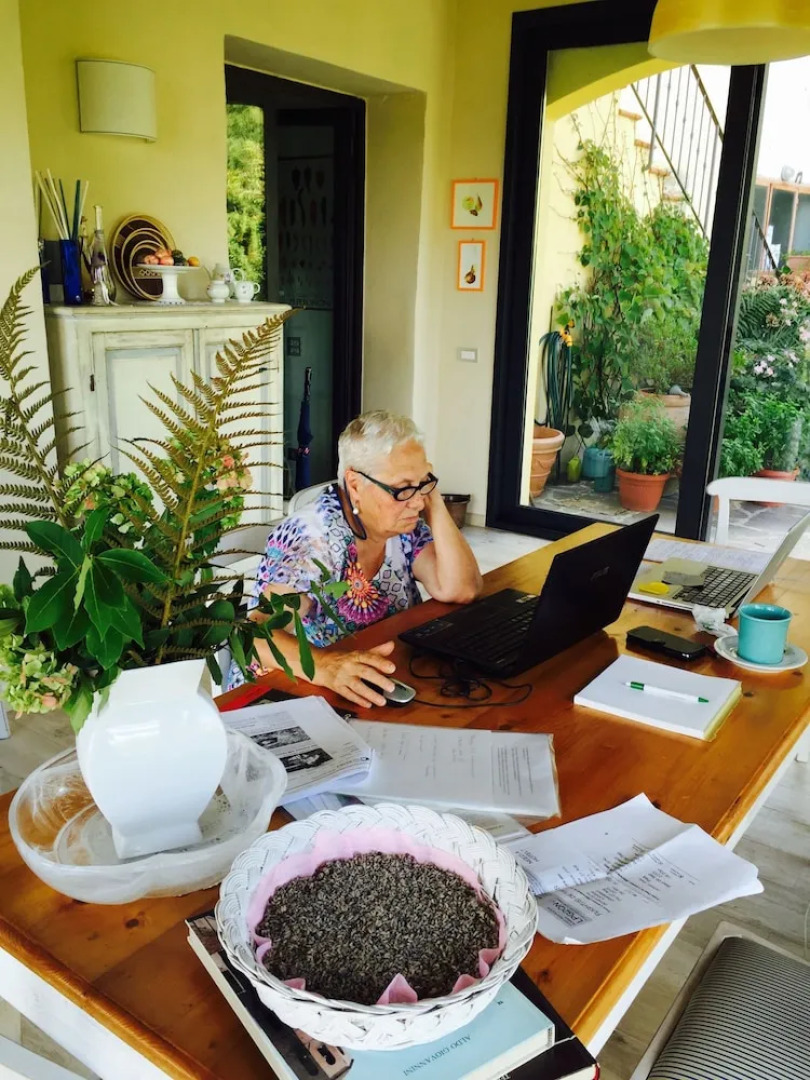 Villa Porcigliano Olive Grove