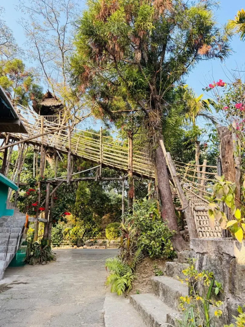 Pumpkin Kharmawshun Homestay