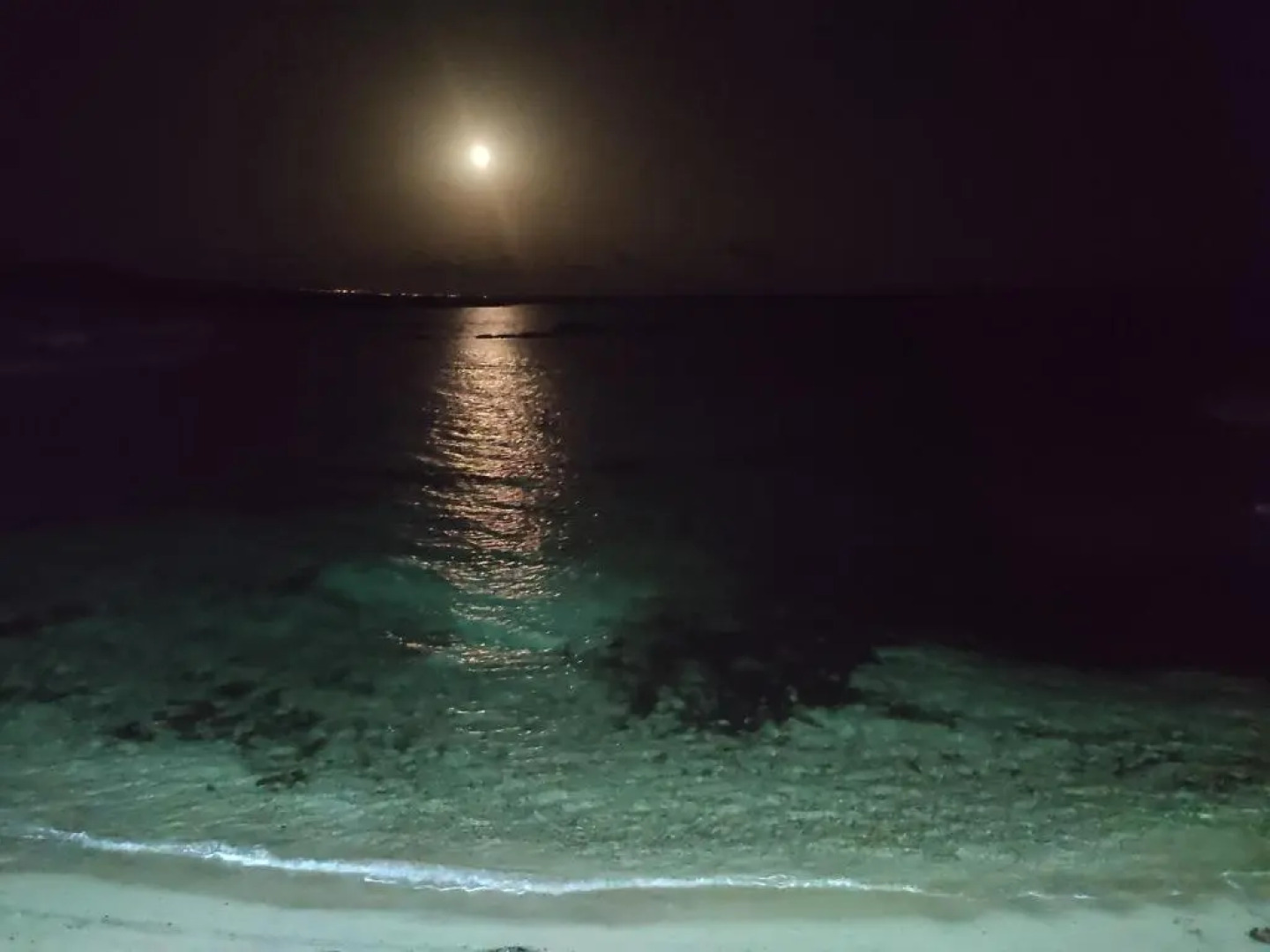 Oasi̇S At Ayfi̇Lon