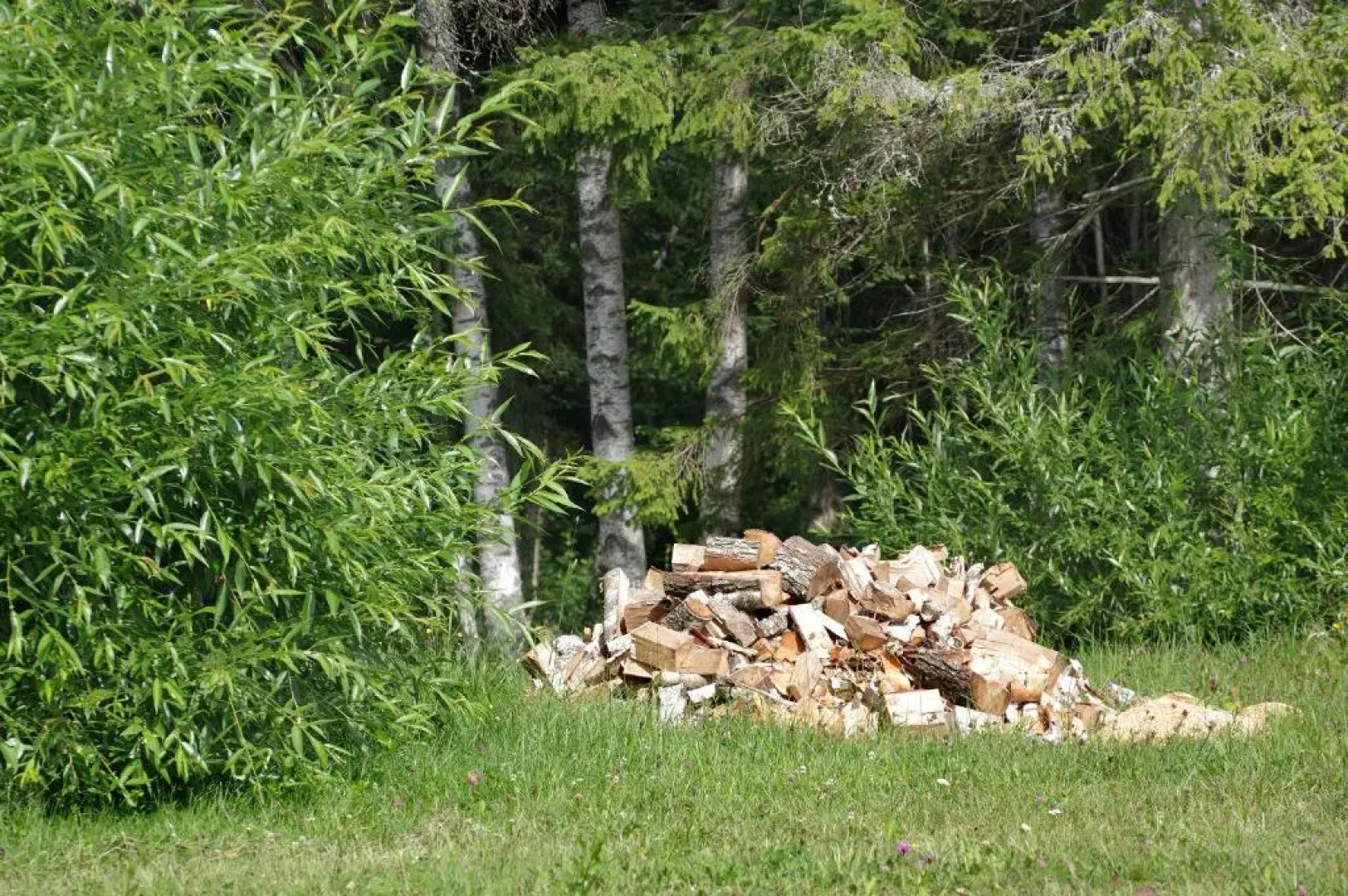 Brīvdienu māja "Raudiņi"