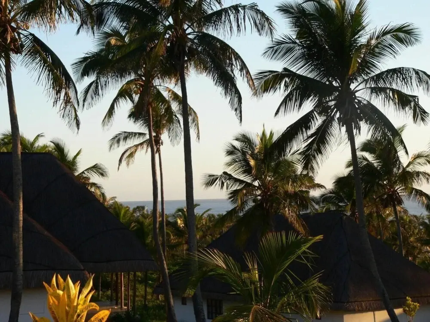 Blue Moon Beach Holiday Resort