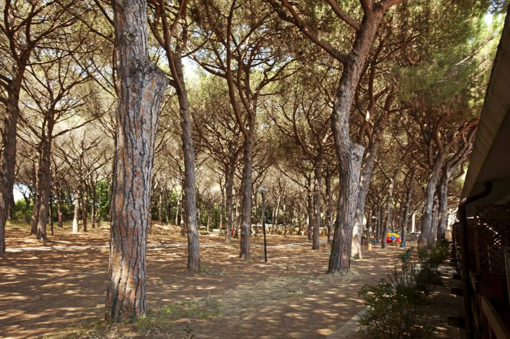 Village Golfo degli Etruschi