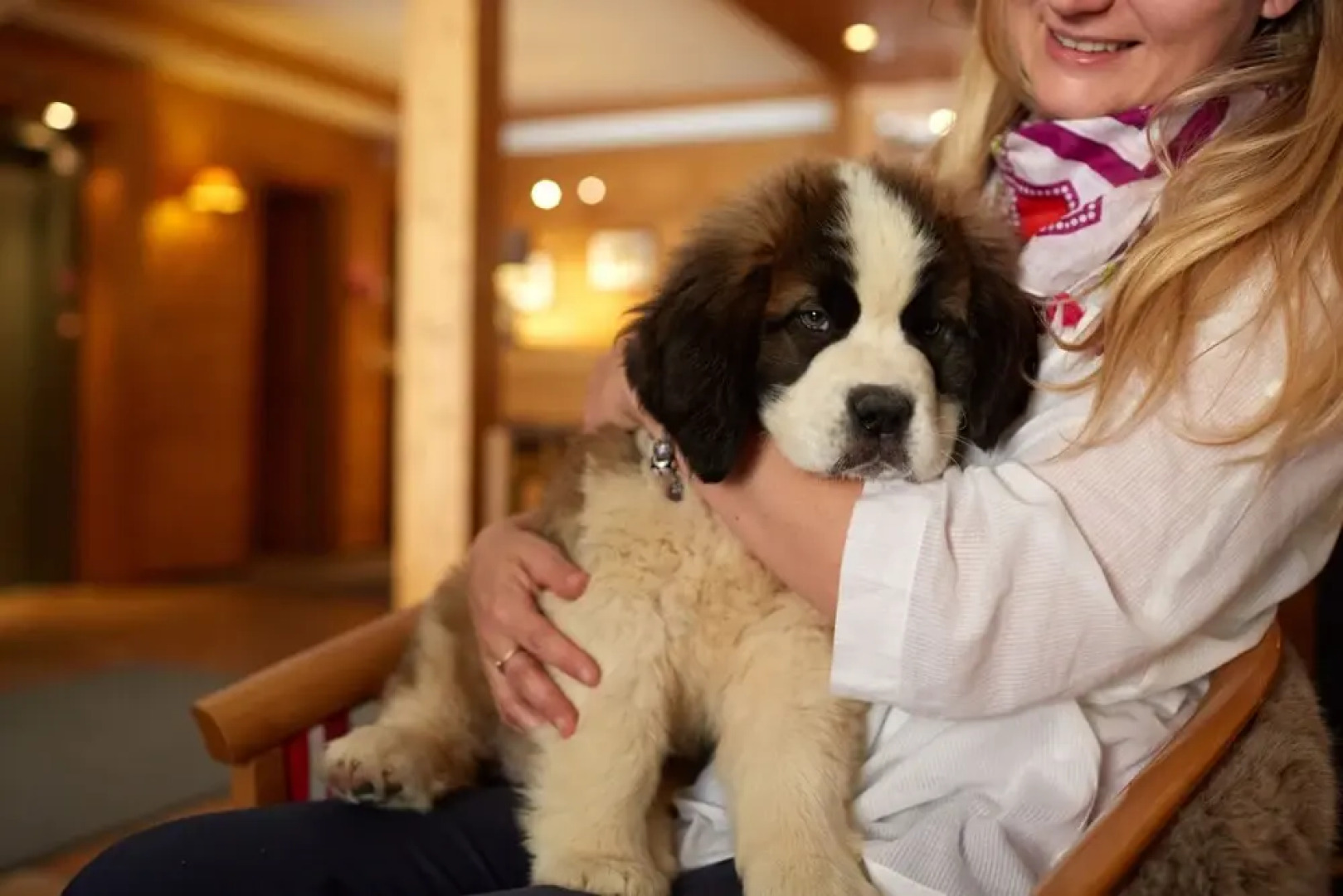 Appartements de lHôtel de lArve