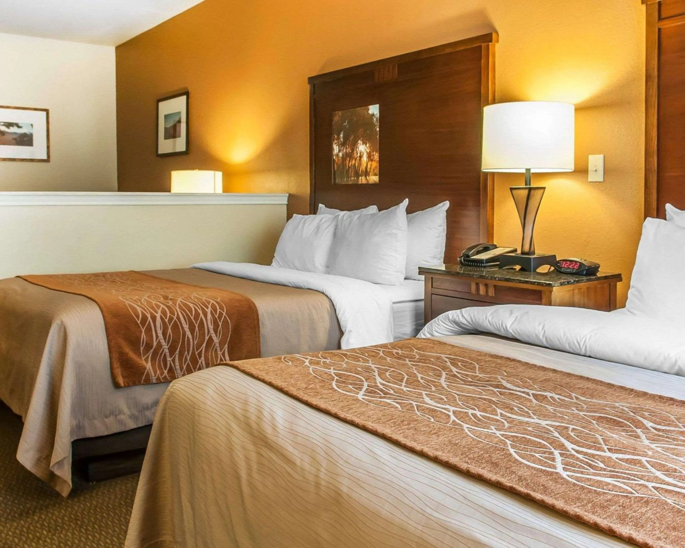 Comfort Inn & Suites Midtown