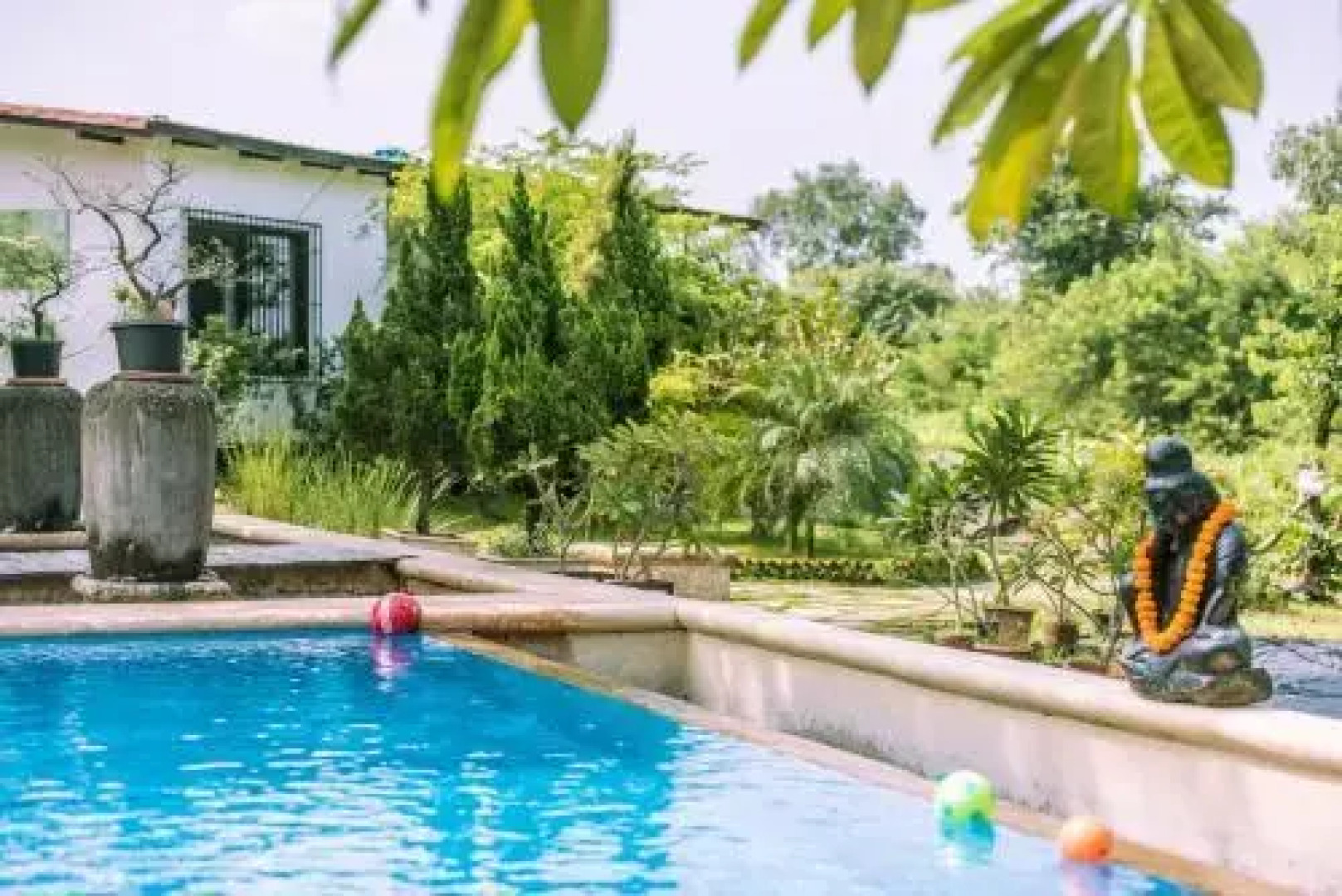 Tooth Mountain Farms