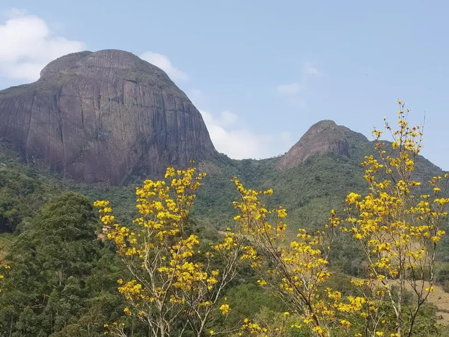 Lumiar Eco Lodge - Chalé Telhado Verde