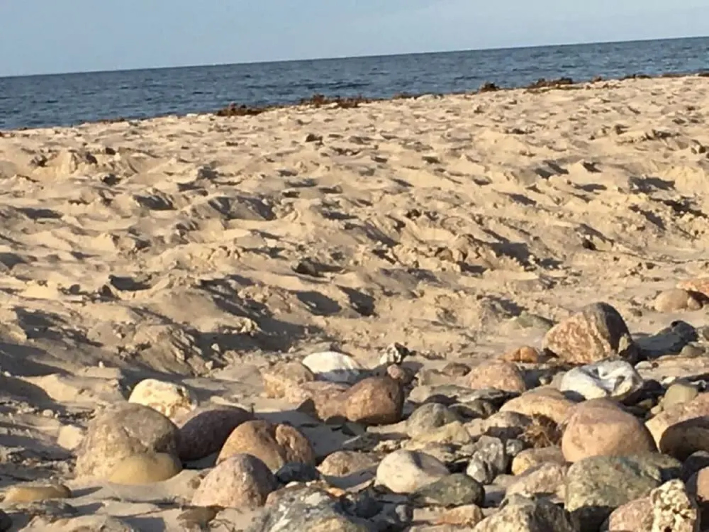 WE Evening sun in the sun House