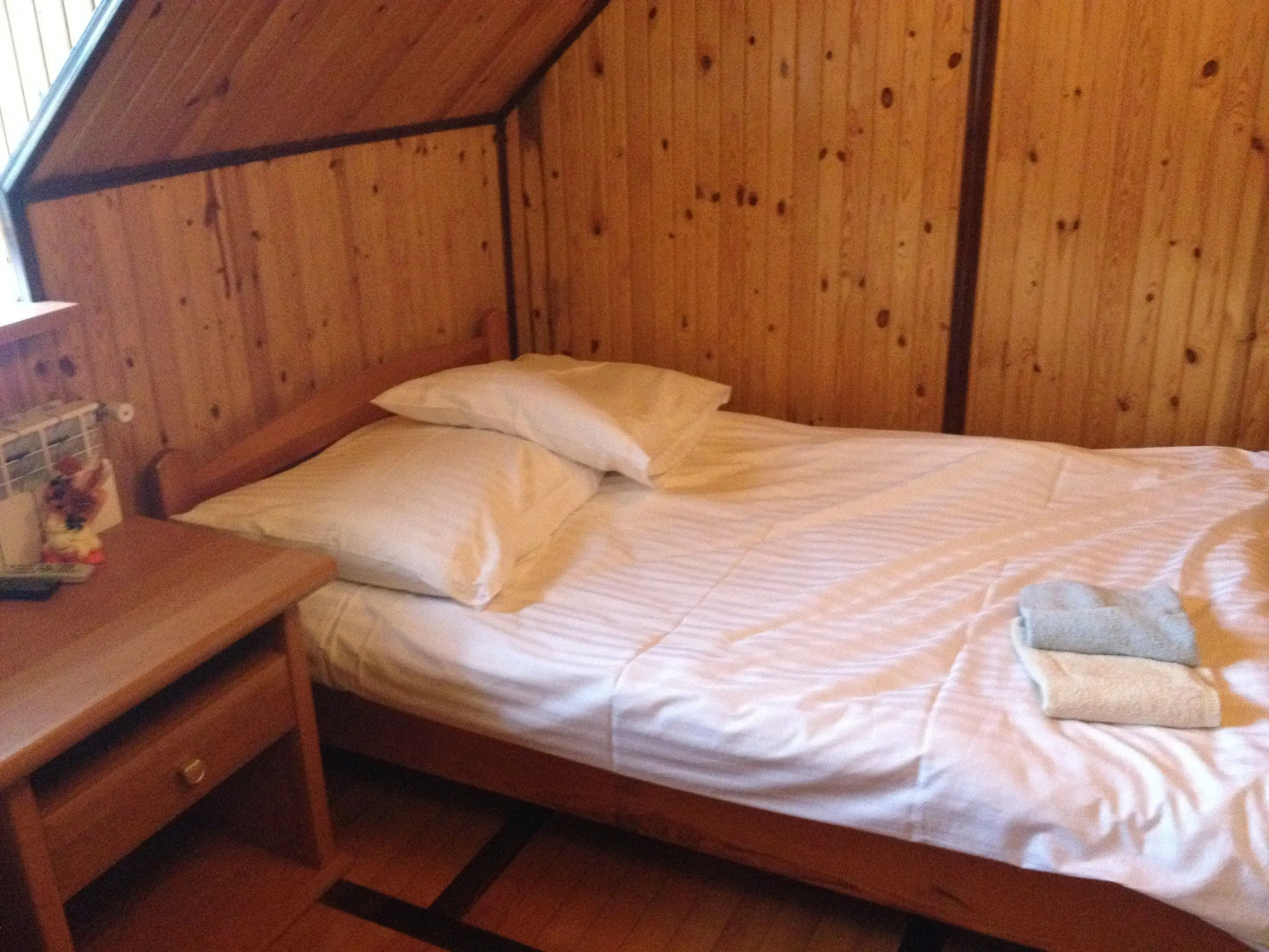 Palac w Czyzowie szlacheckim