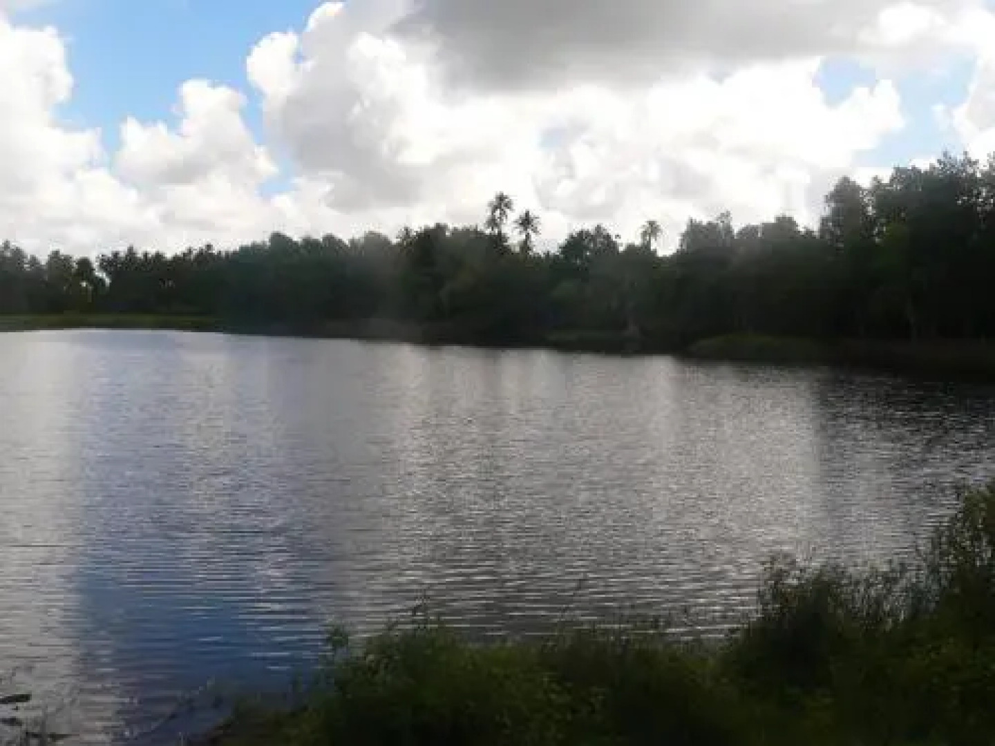 Didimiza Guest House