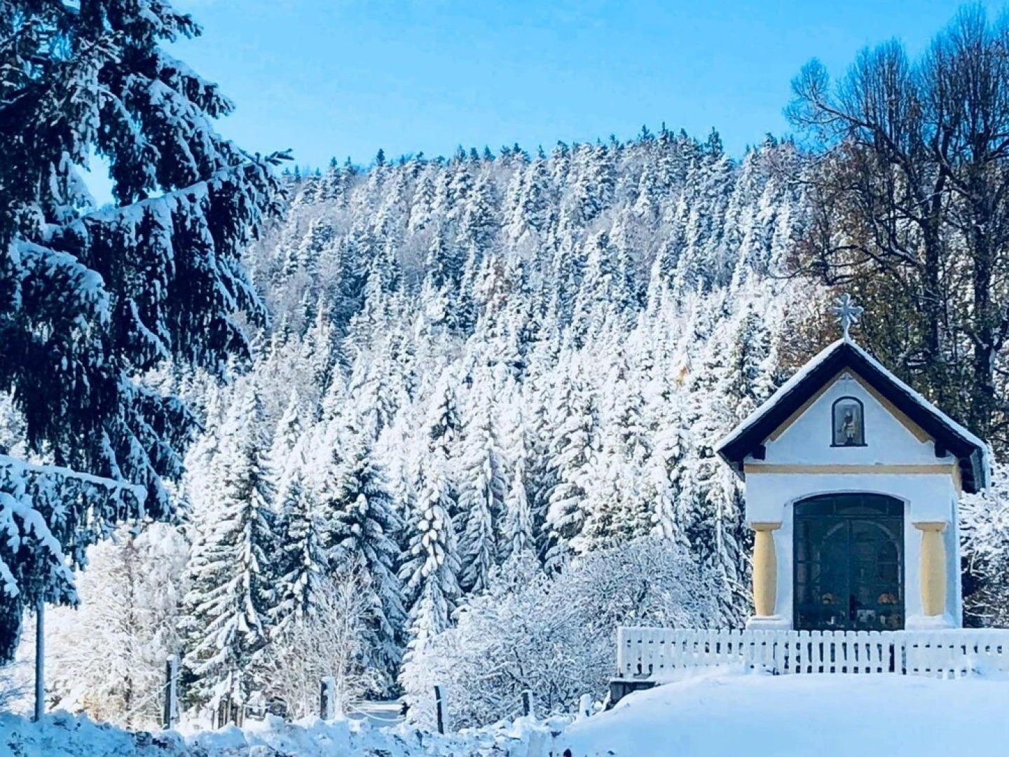 Apartments Planina Pod Sumikom