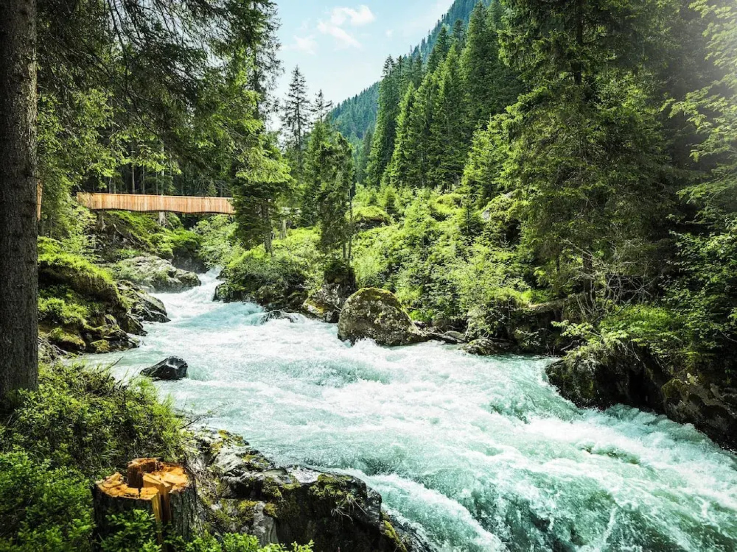 Lärchenlodge SkySpa und Rooftop Pool