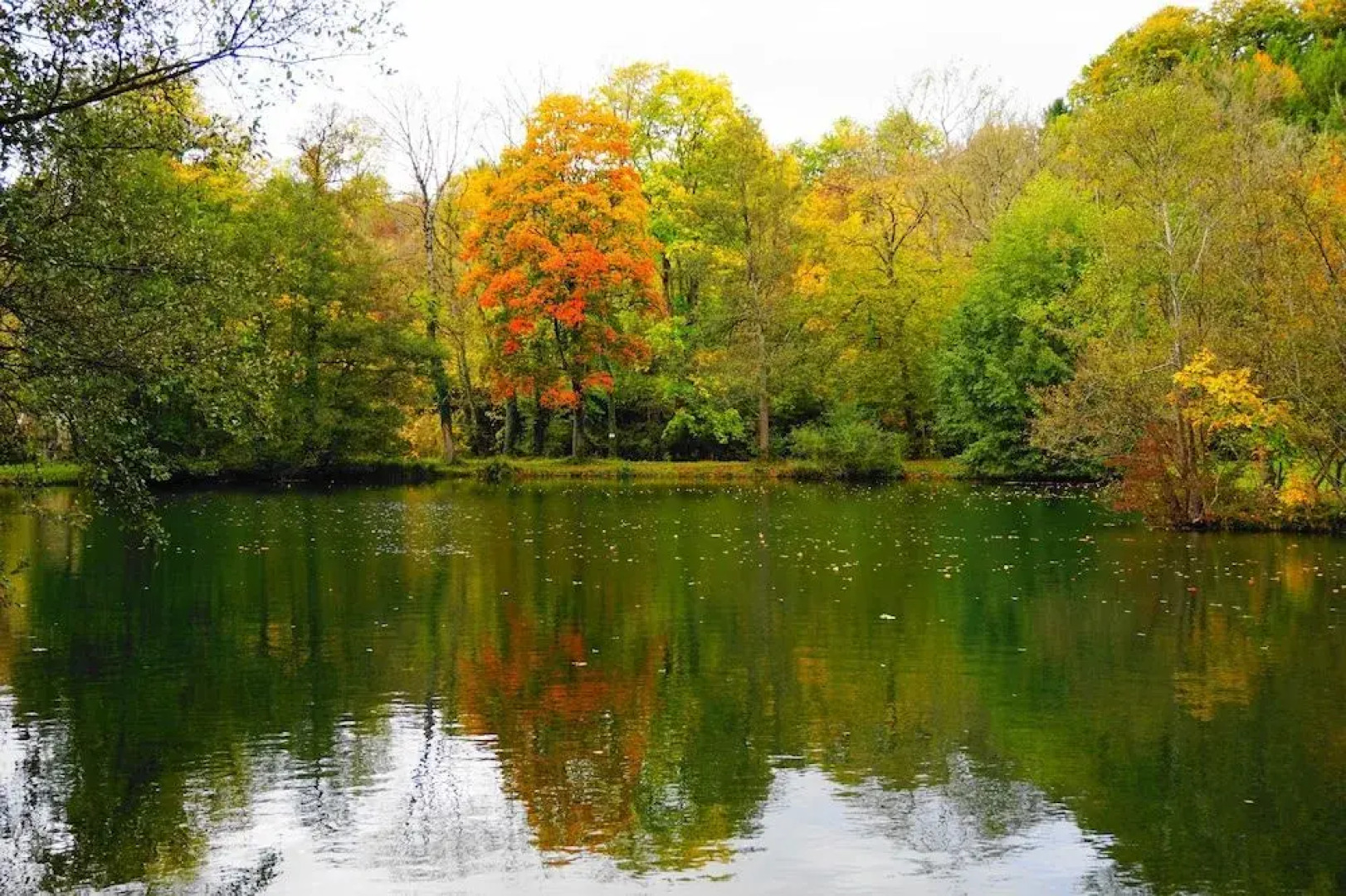 Lodge Hôtel de Sommedieue Verdun