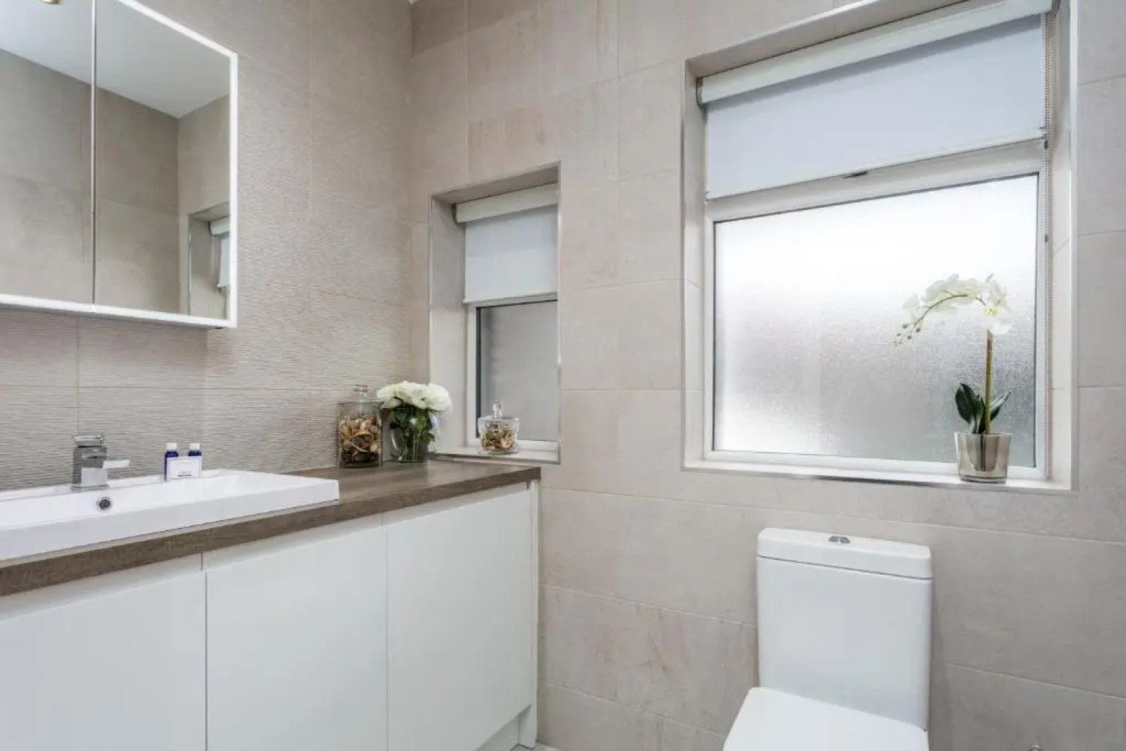 The Alexander - Donnini Deluxe