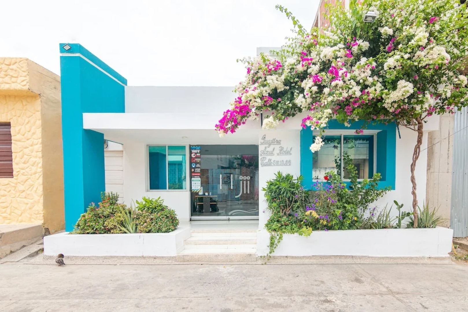 Hotel Guajira Azul