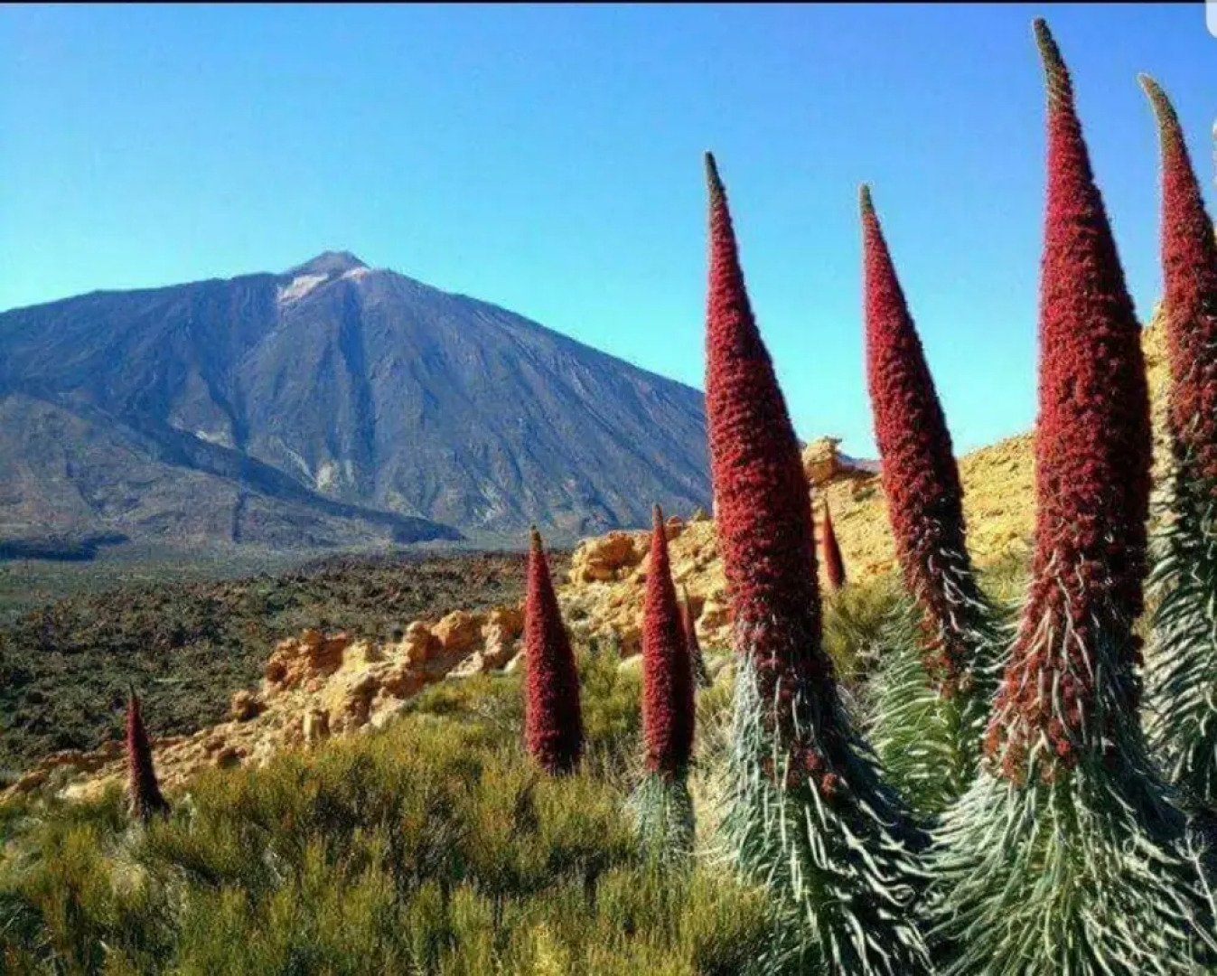 The Happiness Penthouse