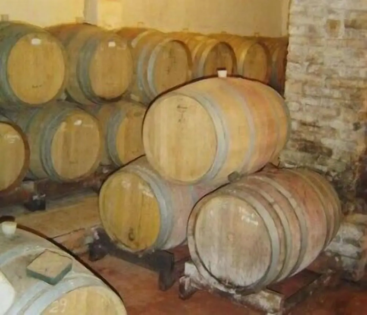 Fattoria San Donato