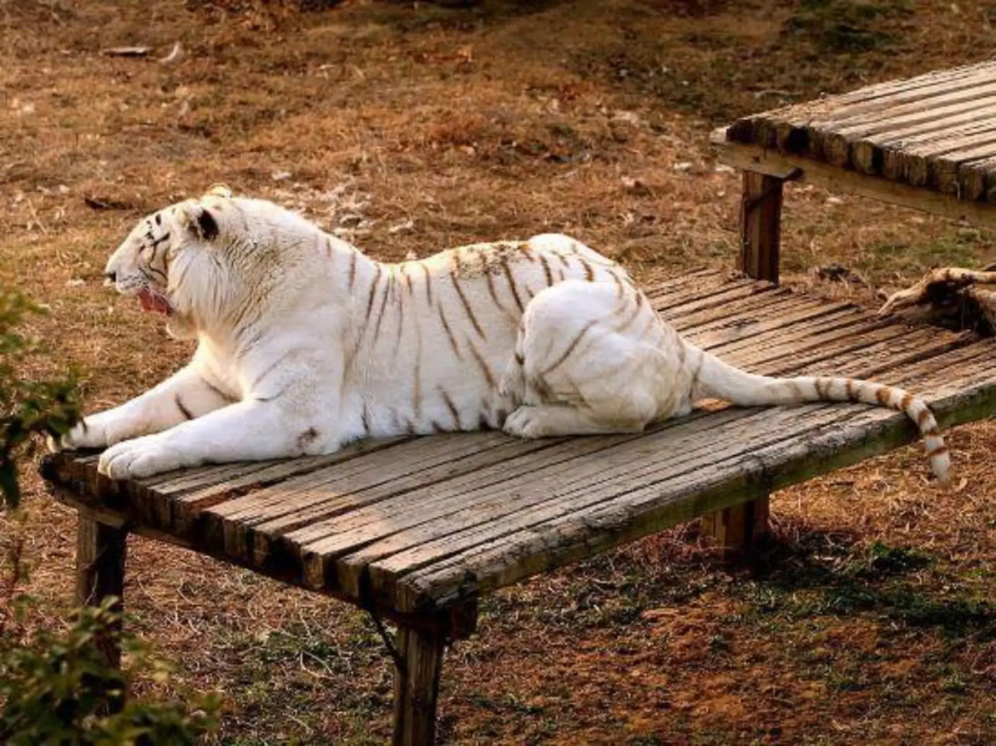 Jinling Mingdu Hotel Changzhou