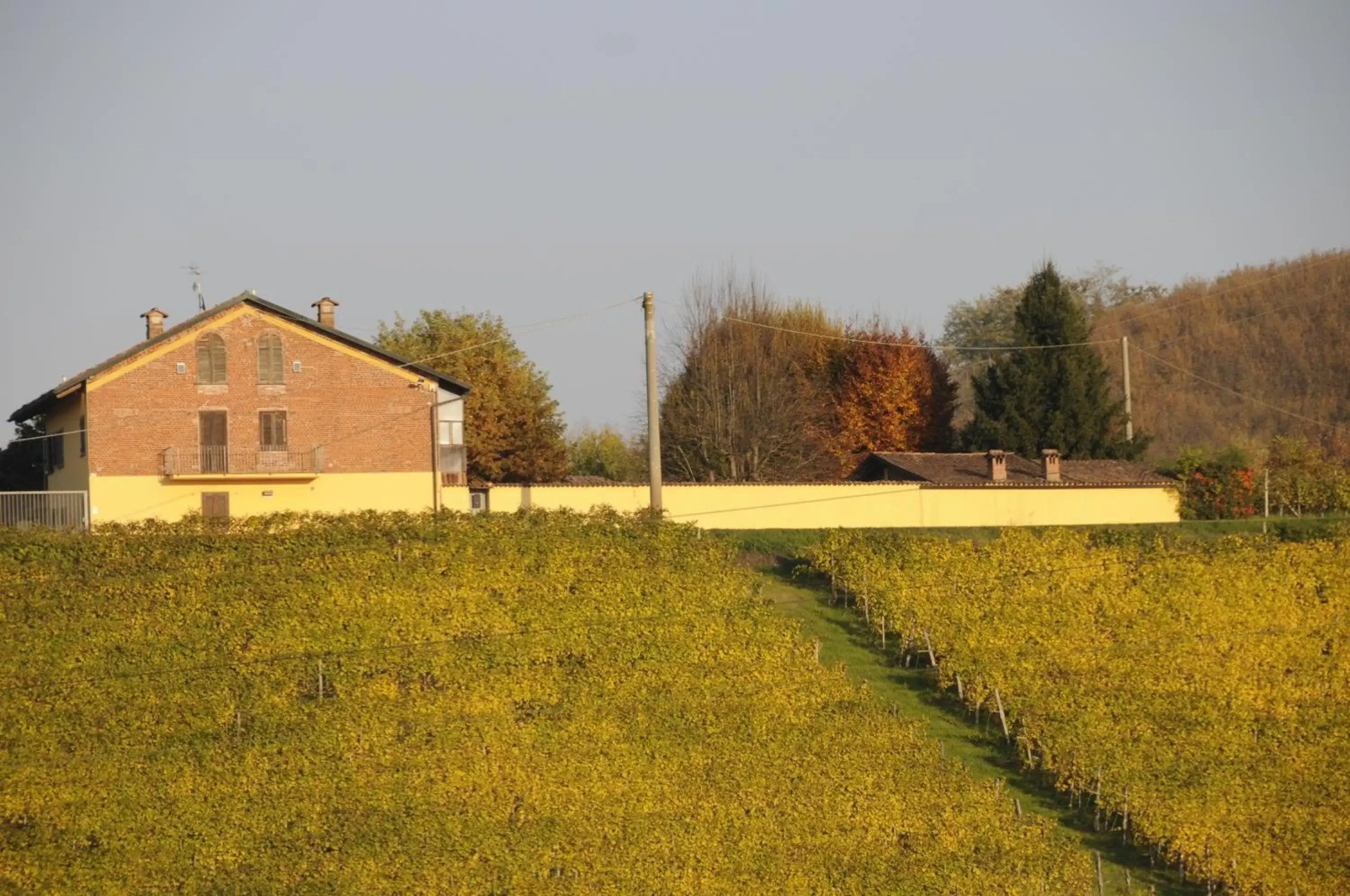 Cascina With Swimming Pool
