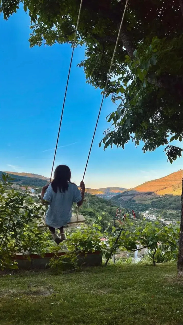 Private Douro- Quinta das Susandas