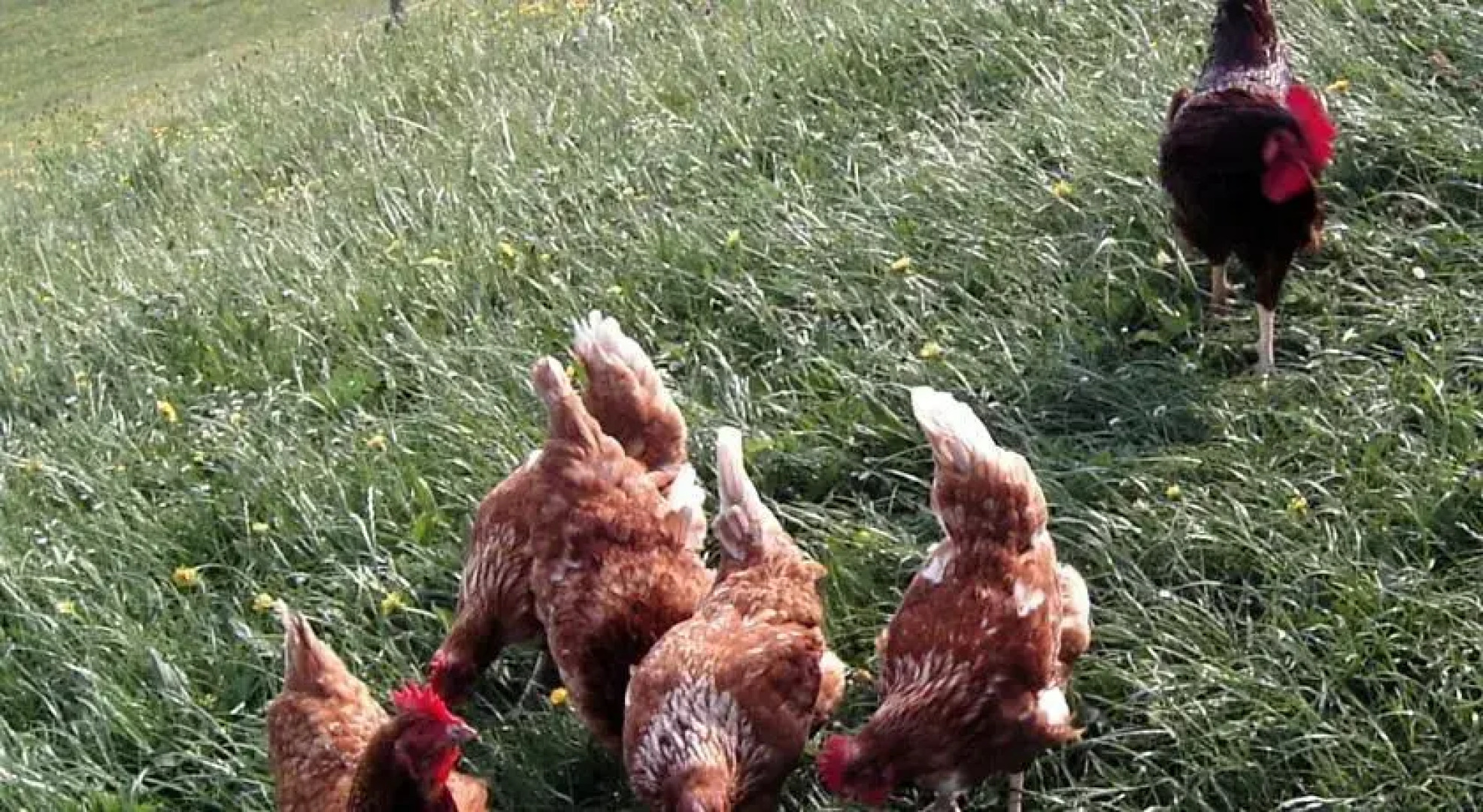 Haus Dreiländerblick