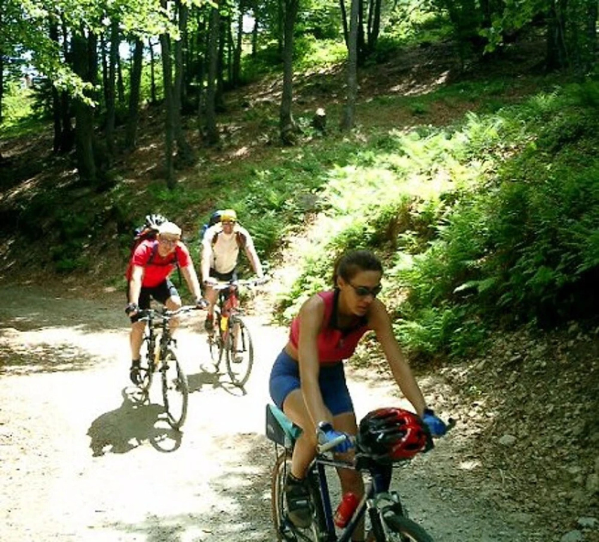 Chalet With one Bedroom in Garzeno, With Wonderful Mountain View, Priv